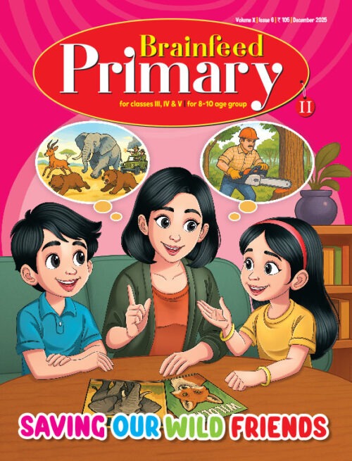 Brainfeed Primary II