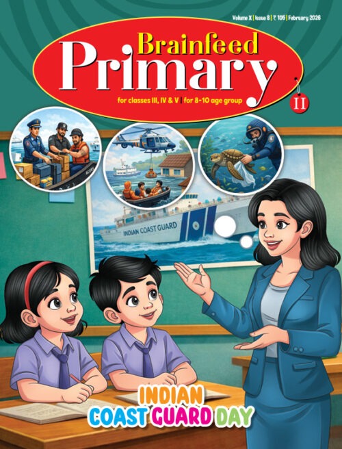 Brainfeed Primary II