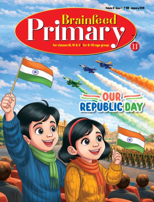 Brainfeed Primary II